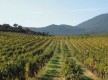 Domaine Fiumicicoli
