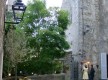 Le jardin de l'echaugette