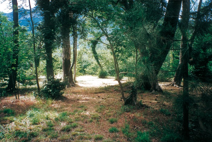 LA FERME D'ALZETTA<br>Camping à la ferme