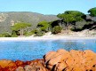 LES PRAIRIES DE PALOMBAGGIA