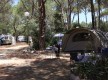 La pin