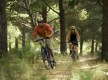 Algajola Sport et Nature - Cr