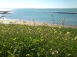 Playa de La Calita