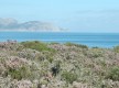 Necrópolis de la Punta des Fenicis
