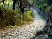 La Ruta de la Pedra en Sec