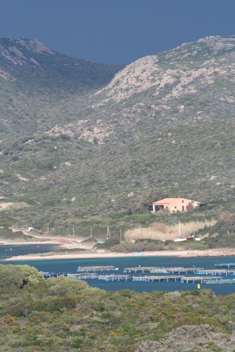 Gurgazu-Golfe de Sant'Amanza