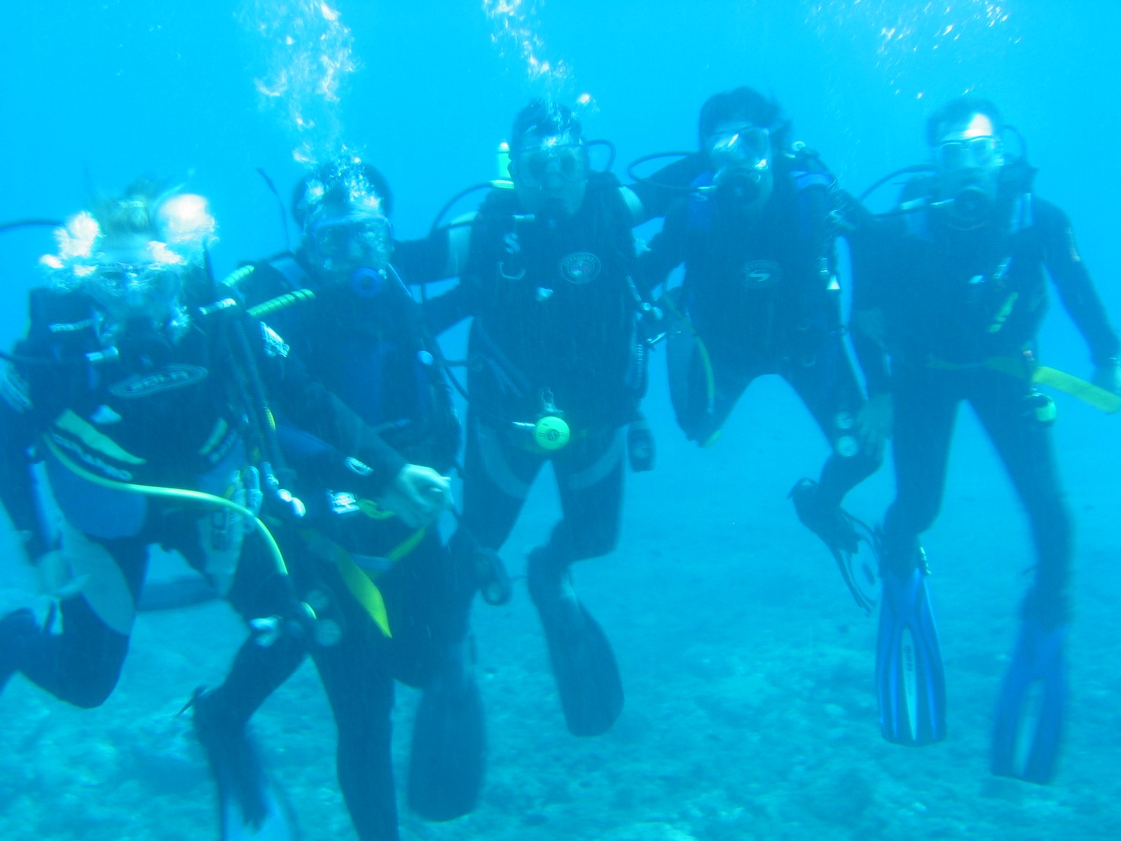 Scuba Tropical