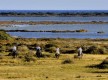 Hípica Almerimar