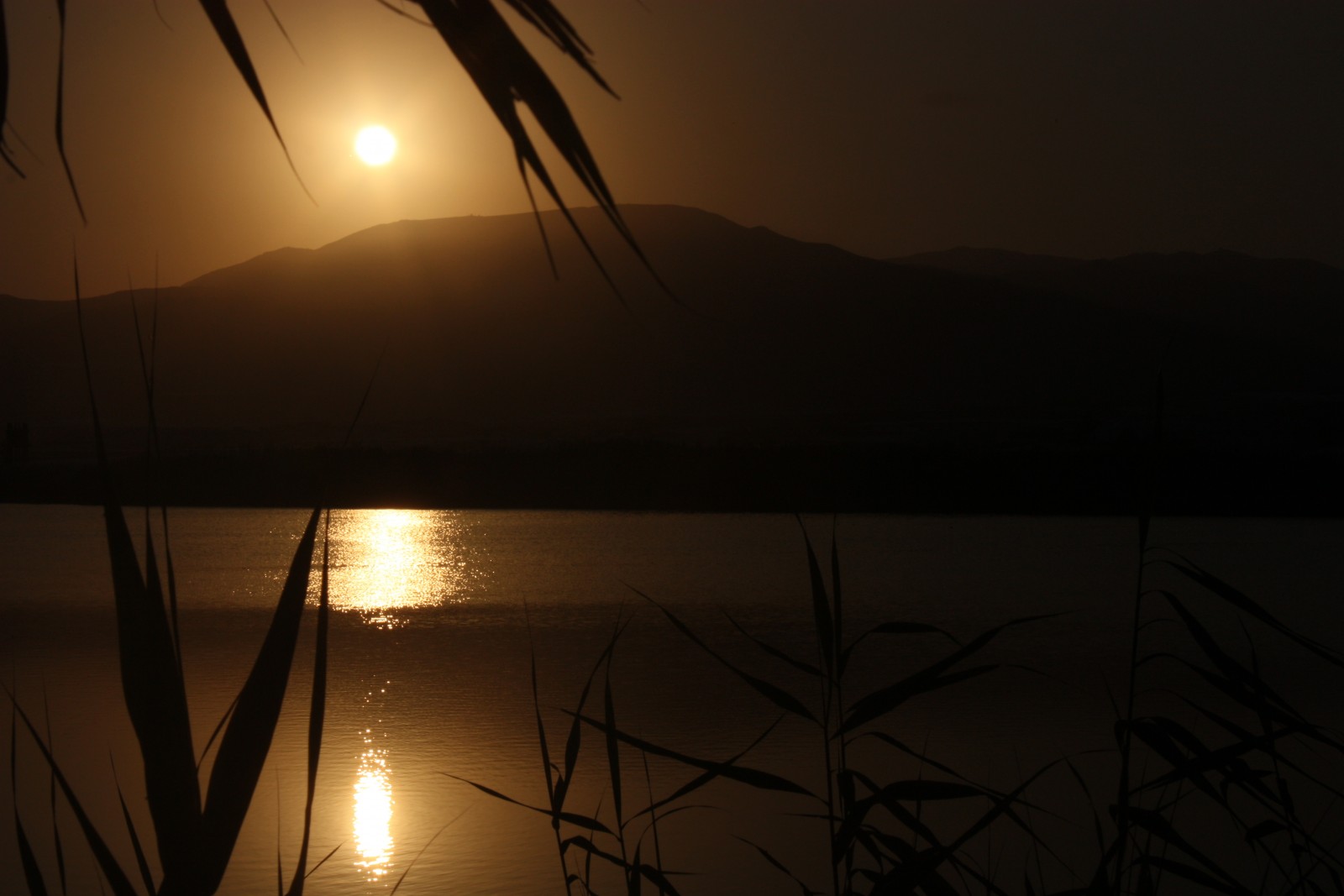 Albufera de Adra