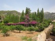 Jardines de Alfàbia