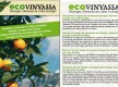 Eco Sa Vinyassa
