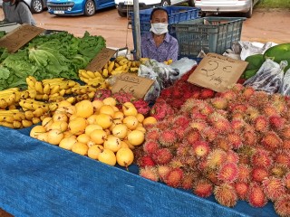 Marché de Cacao