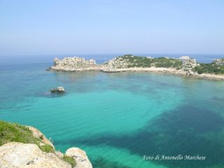 Ile de Pianosa
