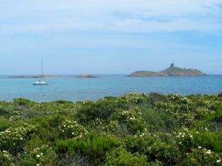 Découvrez la Réserve Naturelle des Îles Finocchiarola - Cap Corse