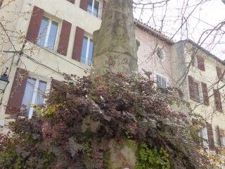 Fontaine aux sorcières