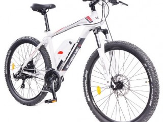 OTSI - Vélo à Assistance Electrique