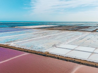 Flore, végétation et terroir de l\'île Saint Martin