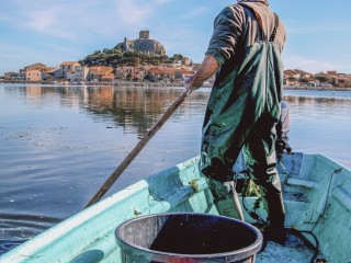 La Prud\'homie de la pêche