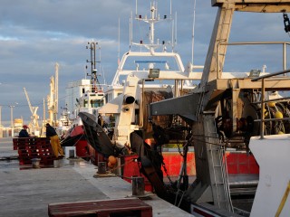 Le retour de pêche