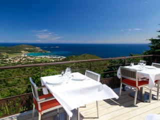 Le Tomino - Cap Corse Capicorsu