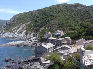 Pino - Cap Corse Capicorsu