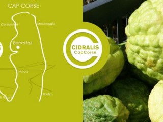 Cidralis Cap Corse - Cosmétiques - Capicorsu