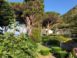 Domaine U Pozzu : Ses Appartements - Marine de Sisco - Cap Corse Capicorsu