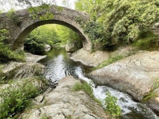 Balades Guidées 2023 - Petra Viva - Pietracorbara - Cap Corse Capicorsu