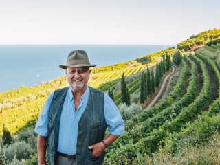 Domaine Terra di Catoni - Porticciolo - Cap Corse Capicorsu