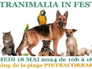 Pietranimalia in Festa 2024 - Marine de Pietracorbara - Cap Corse Capicorsu