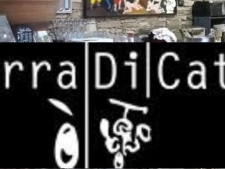 Domaine Terra di Catoni - Randonnée dans la vigne & dégustation - Porticciolo - Cap Corse Capicorsu