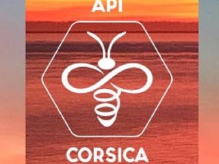 Api Corsica - Initiation à l'Apiculture & Visites - Cap Corse Capicorsu