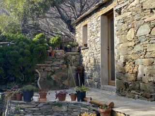 L'Alivu - Hameau Barrigioni - Meublé de Tourisme - Cap Corse Capicorsu