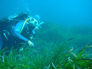Cap Corse Immersion, Club de Plongée, à Macinaggio