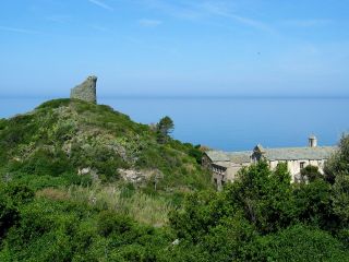 Pino - Cap Corse Capicorsu