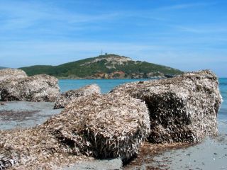 Baie de Macinaggio,