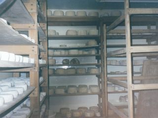 Fromage de Chèvres ALBERTINI Philippe