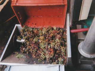 Domaine de GIOIELLI