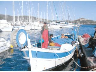 Halle des Pêcheurs - Macinaggio - Cap Corse Capicorsu