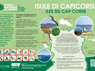 Ile de la Giraglia - Réserve Naturelle des Iles du Cap Corse