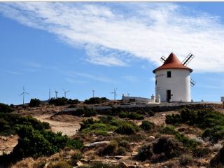 Les Moulins du Cap Corse - Cap Corse Capicorsu