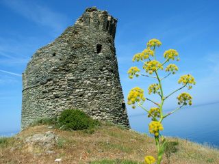 Tour de Scalu - Pino - Cap Corse Capicorsu