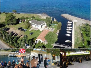 Dollfin - Centre de plongée - Cap Corse Capicorsu