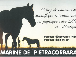U Cavallu di Pietracorbara