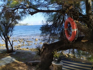 Chez Marlène - Snack - Tollare - Ersa - Cap Corse