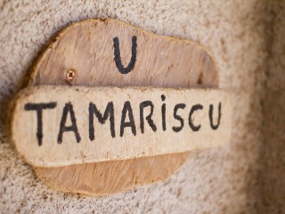 Les Tamaris - Albo - Cap Corse Capicorsu